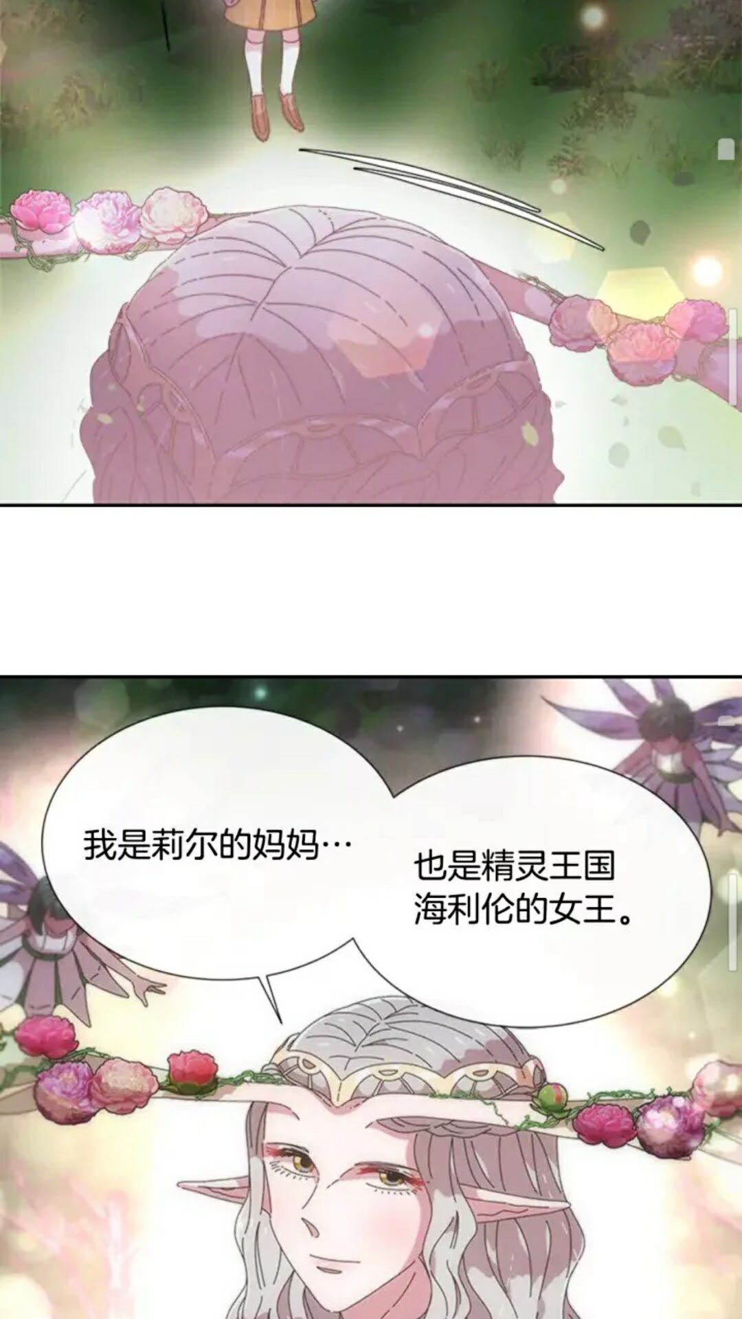第98话 精灵大作战61