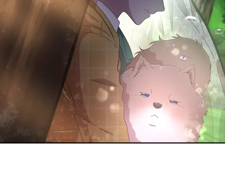 第105话 塔罗占卜24