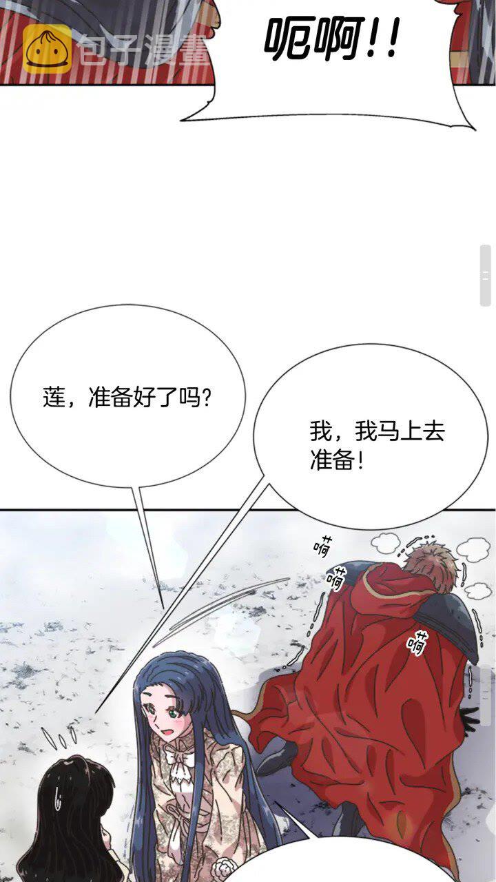 第95话 萌宠上线48