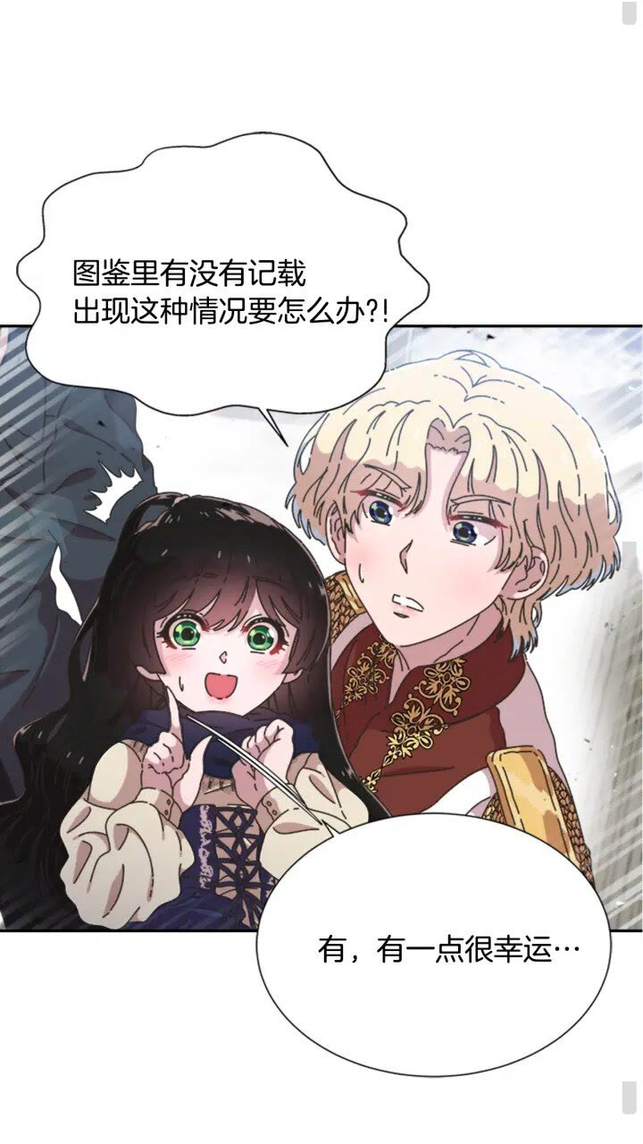 第95话 萌宠上线12