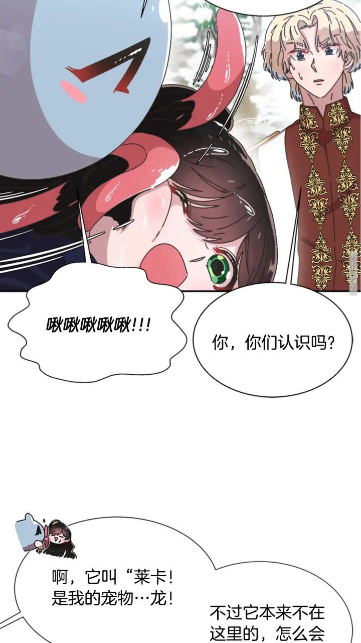 第95话 萌宠上线32