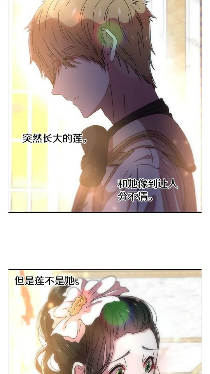 第65话 莱恩，你分得清吗？26