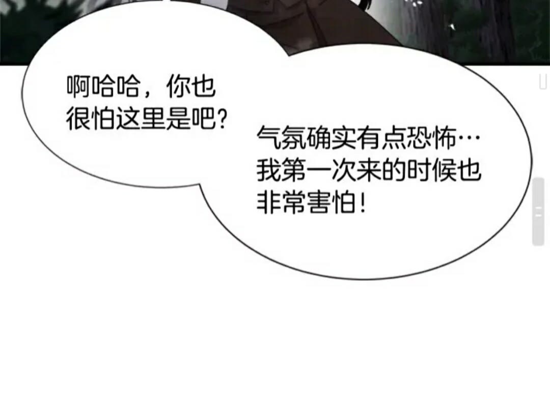 第98话 精灵大作战33