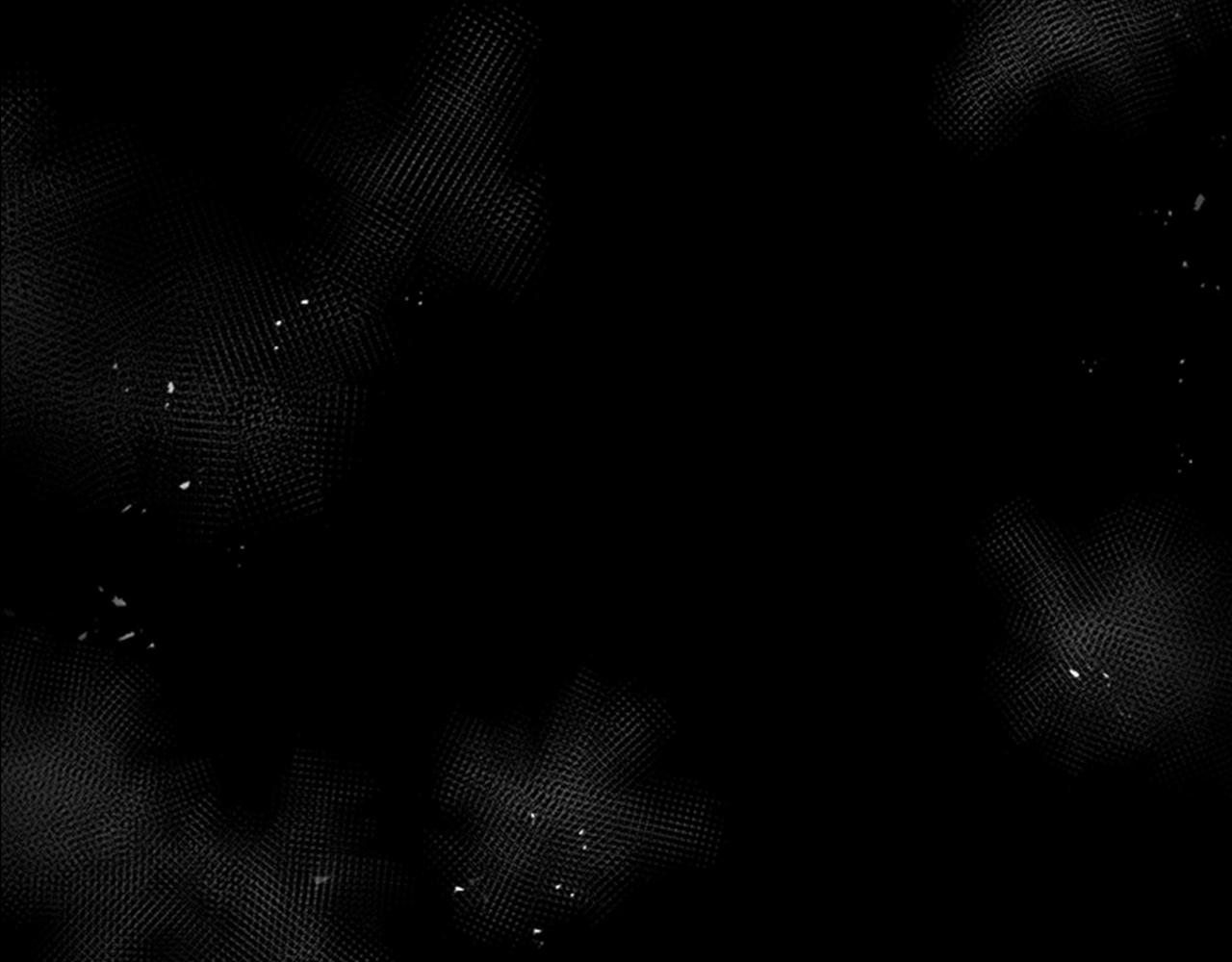 第40话 兔兔这么可爱96