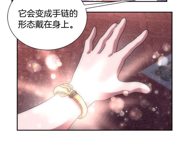 第34话 有排面的礼物119
