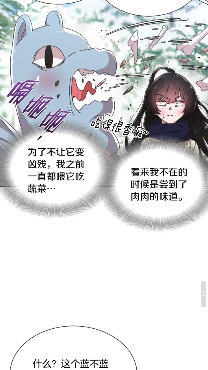 第95话 萌宠上线34