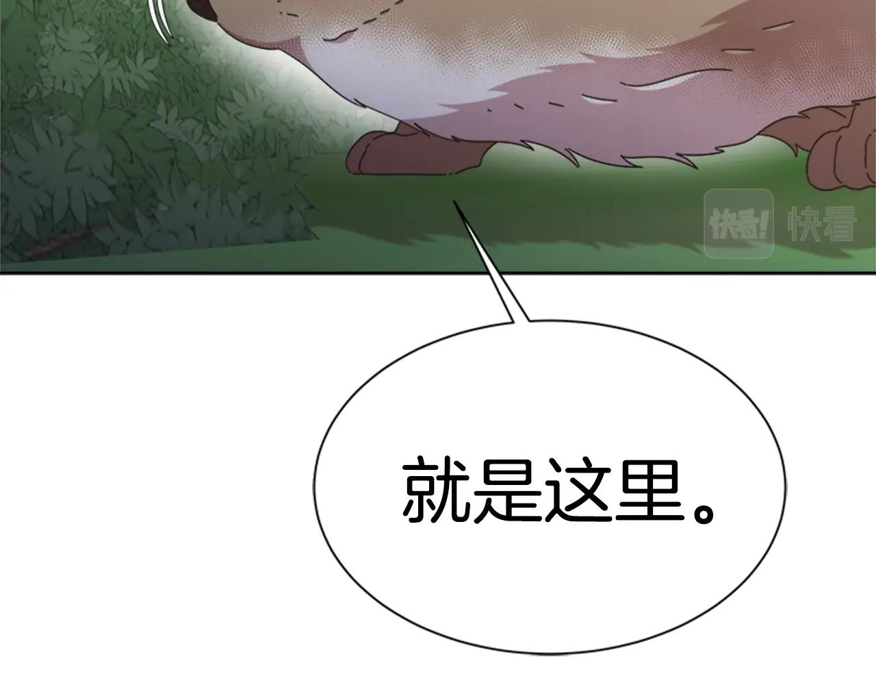 第130话 森林的秘密73