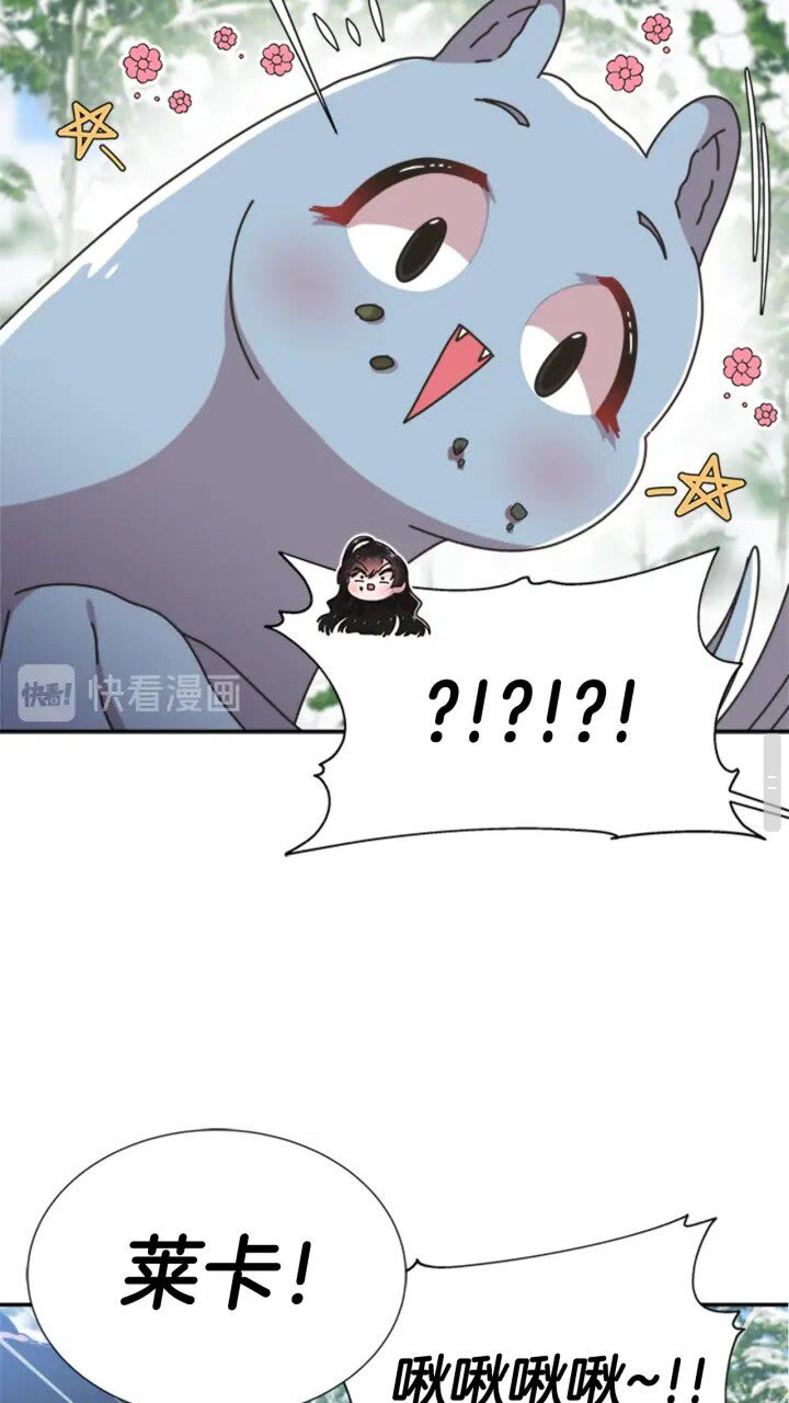 第95话 萌宠上线29