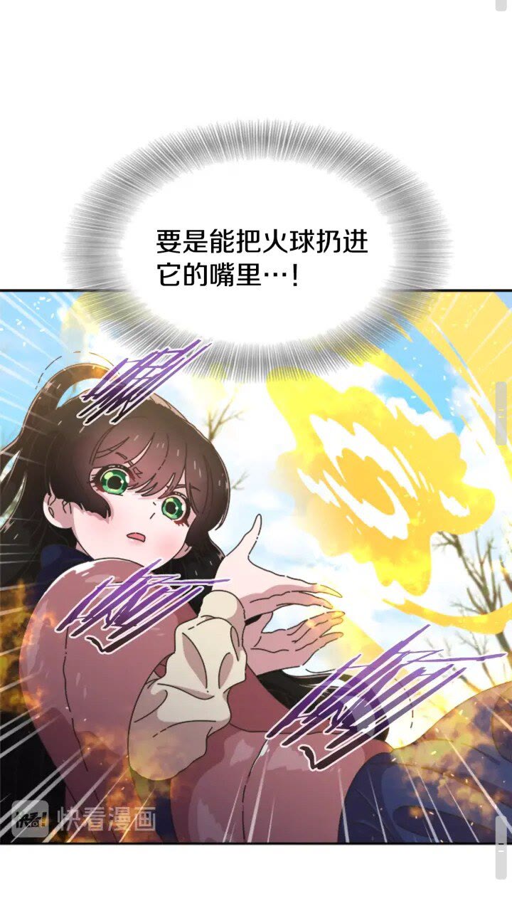 第95话 萌宠上线21