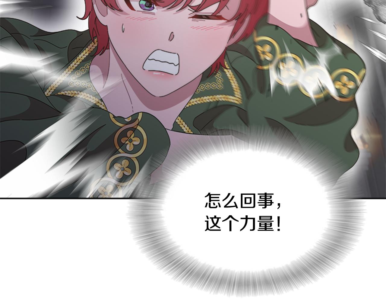 第132话 假公主的引诱108