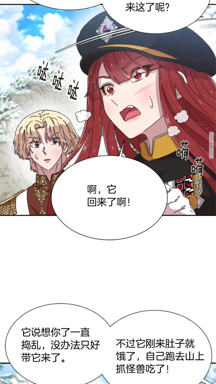 第95话 萌宠上线33
