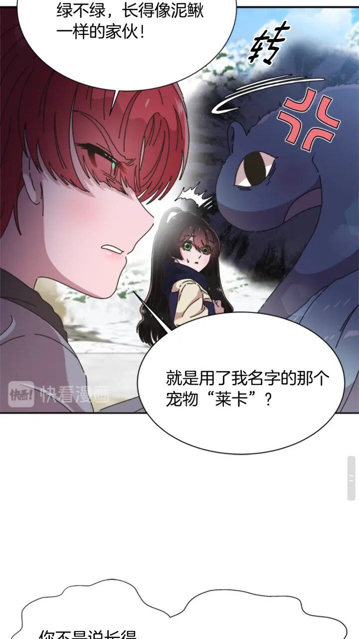 第95话 萌宠上线35