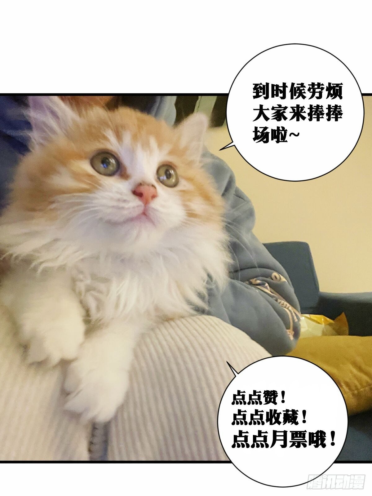 44-论道开始！20