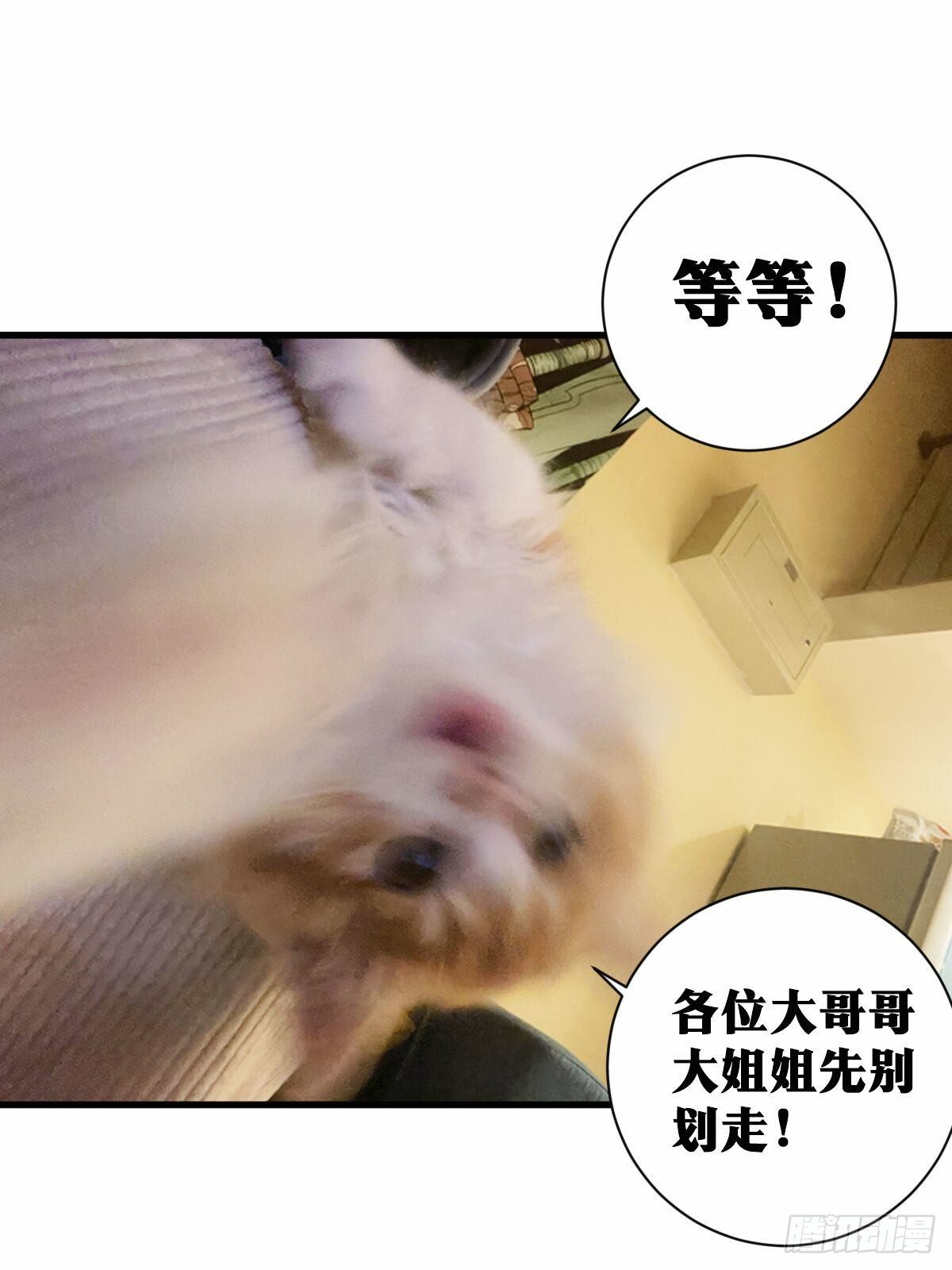 44-论道开始！16