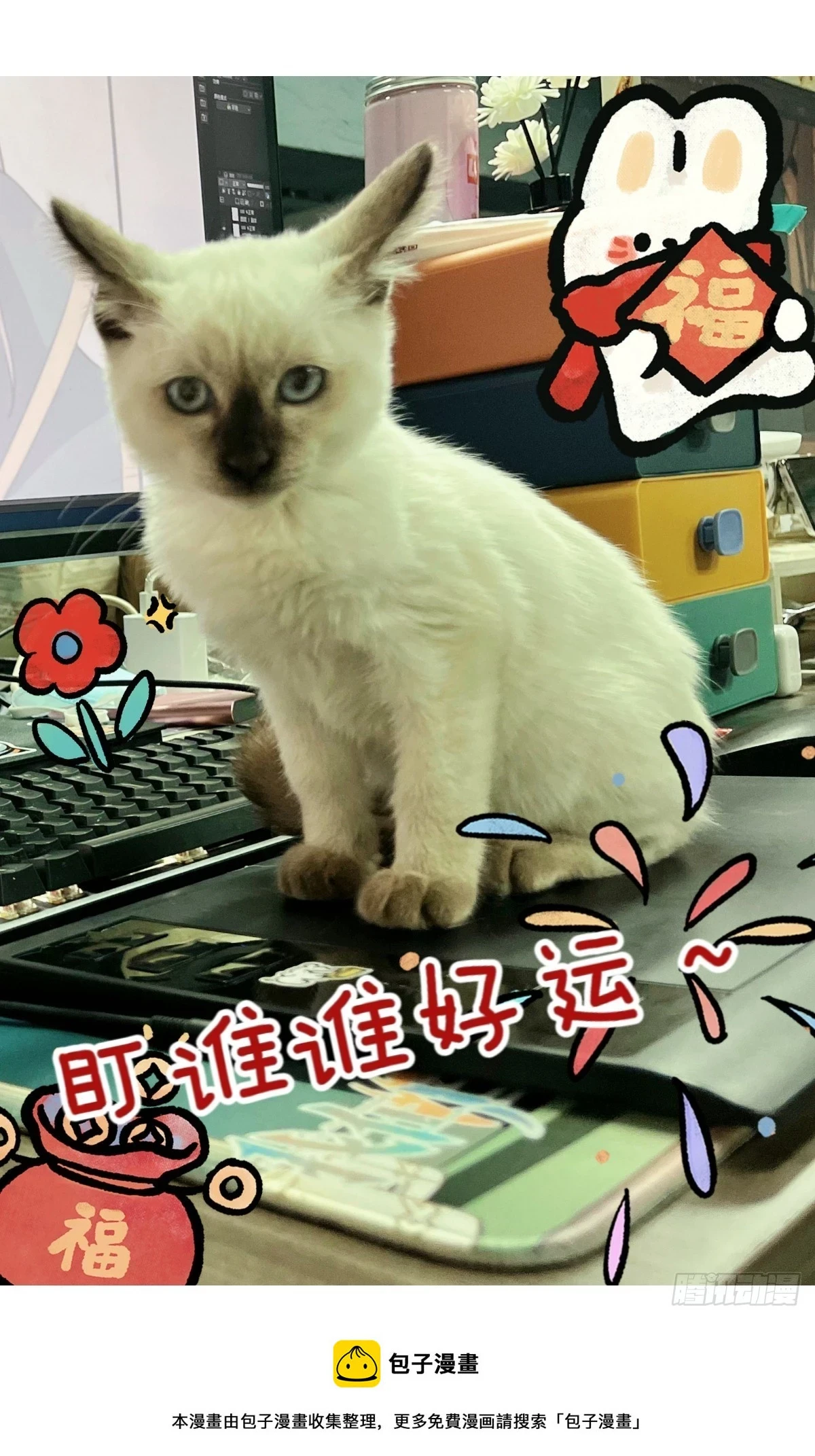 578-留命还是留财？14