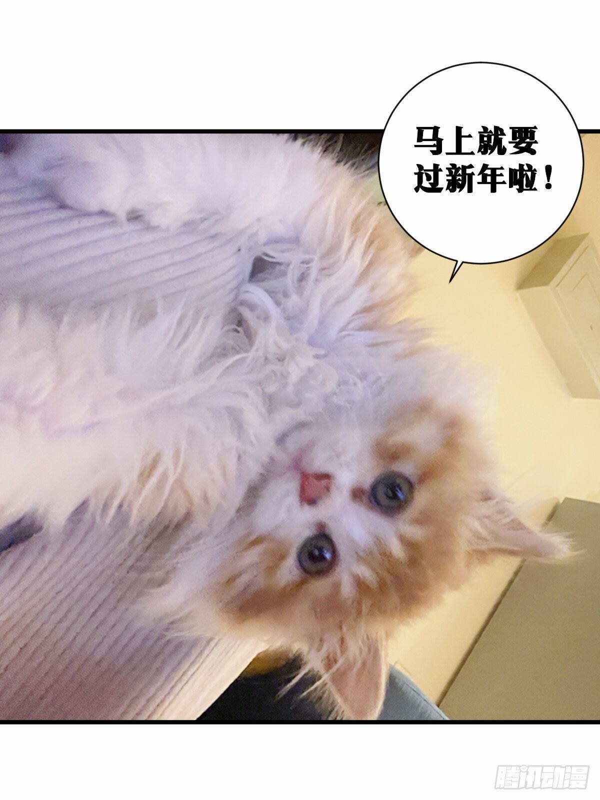 44-论道开始！17