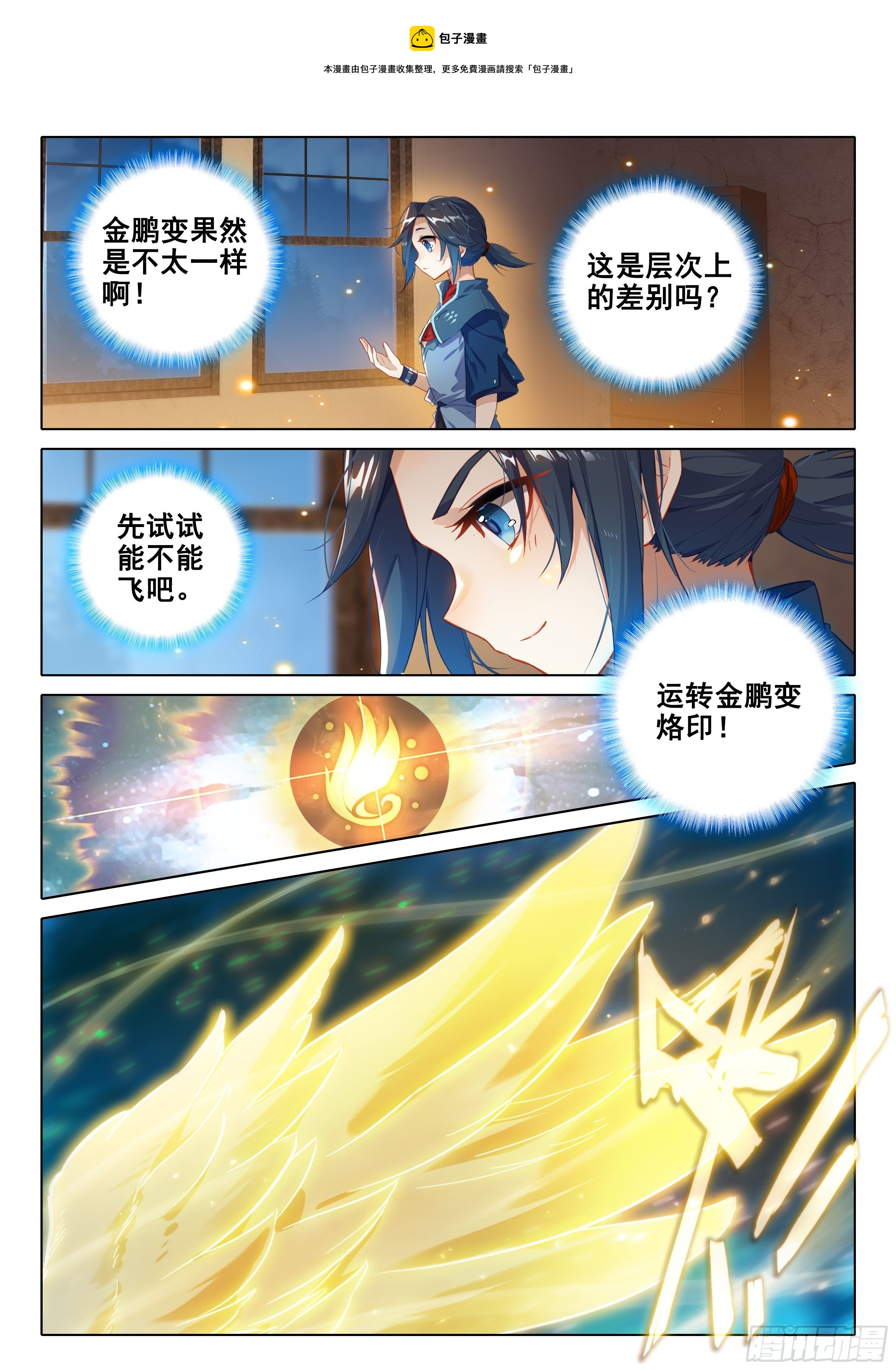 29 金鹏双翅12