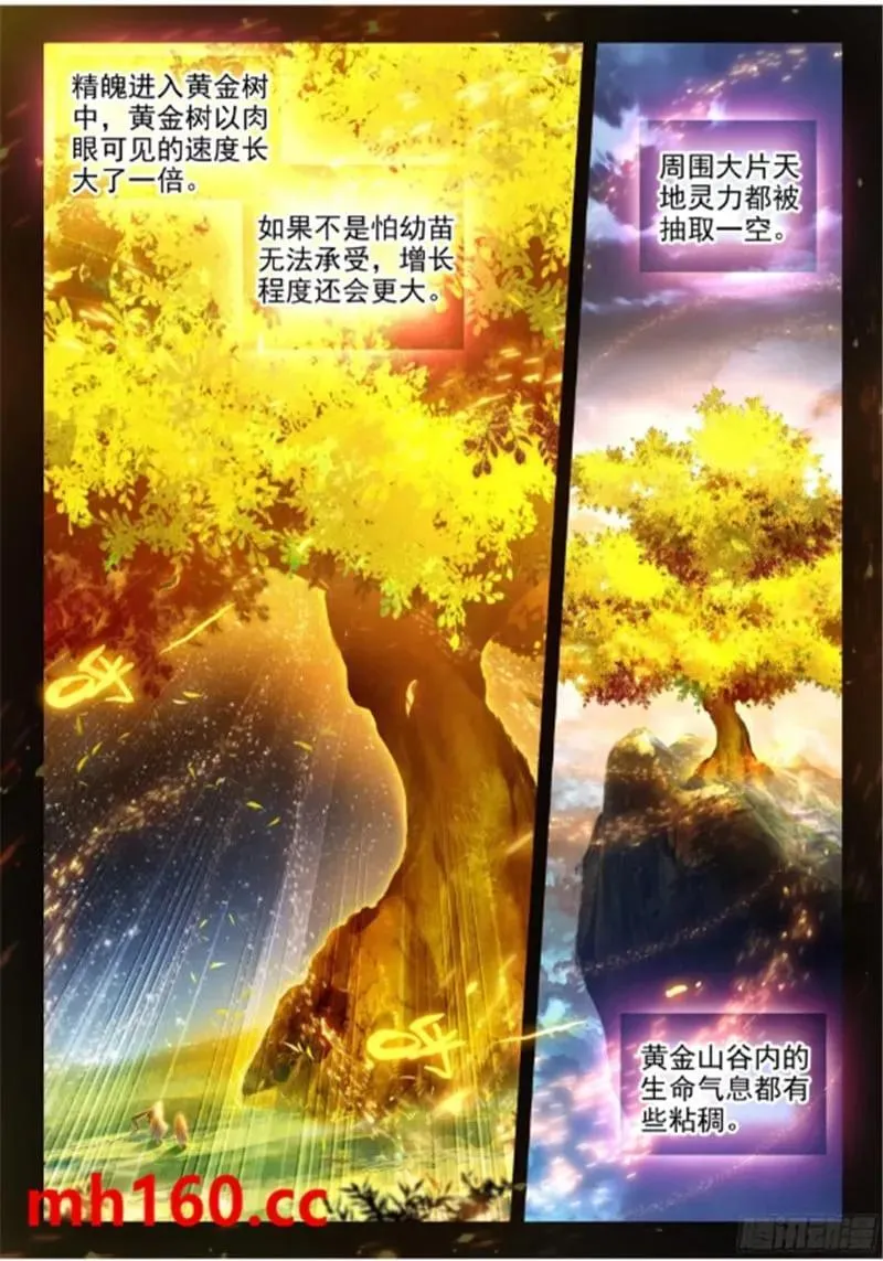 168 狐尾舍利3
