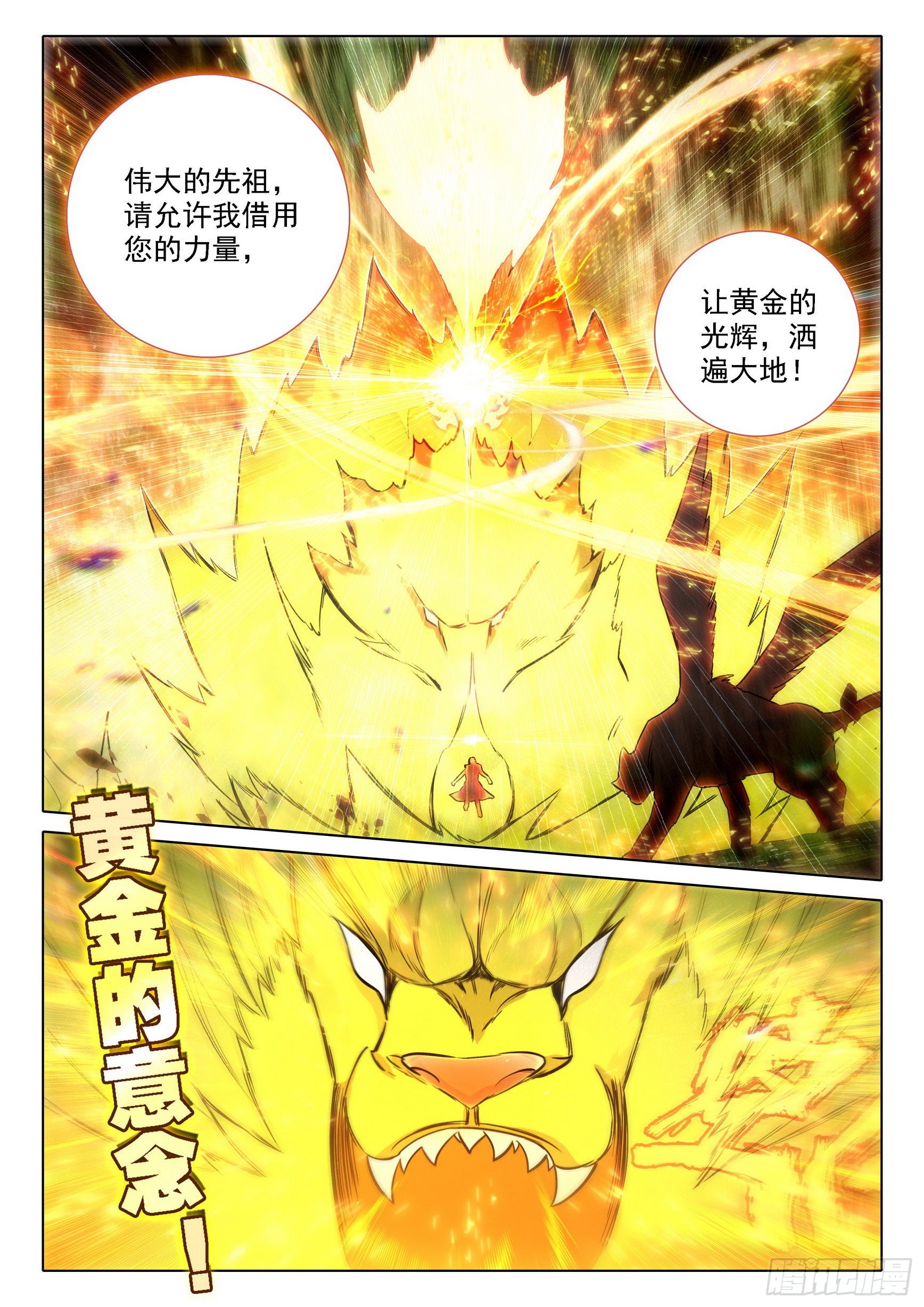67 狮虎之战9