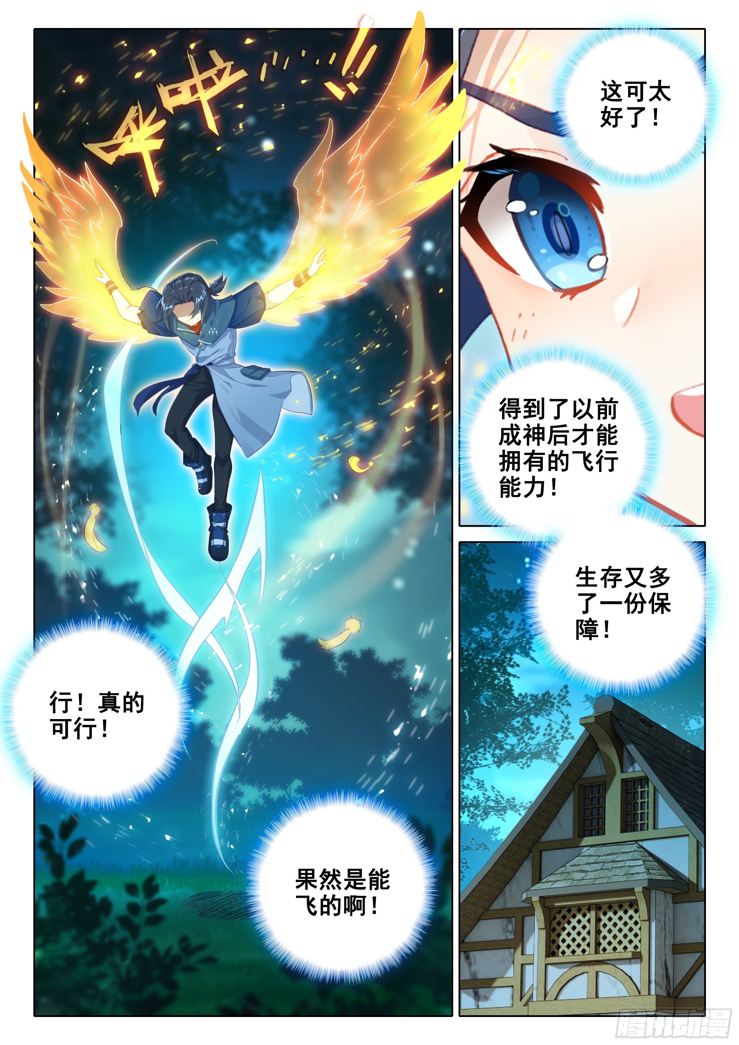 29 金鹏双翅14