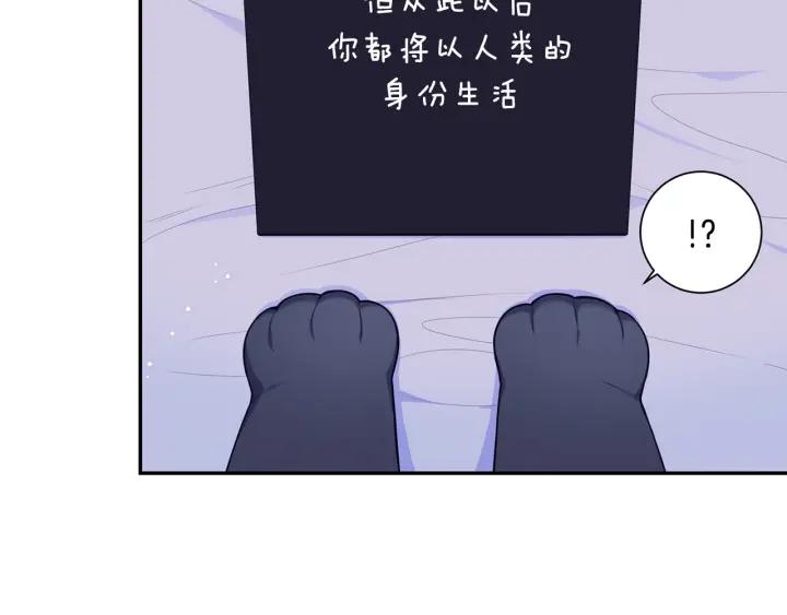 番外一 三月的愿望119