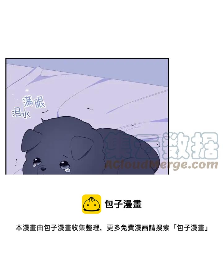 番外一 三月的愿望88