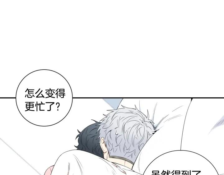 完结篇 春天的樱花9