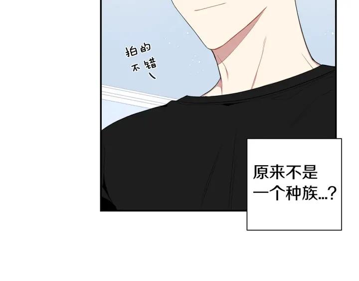 番外一 三月的愿望82