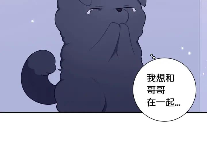番外一 三月的愿望94