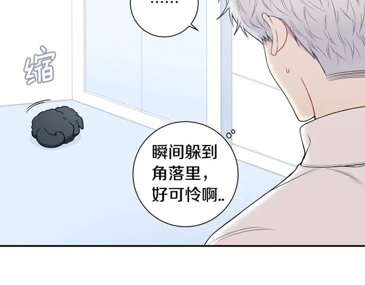 番外一 三月的愿望27