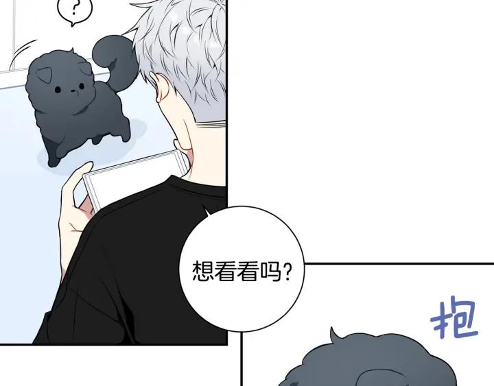 番外一 三月的愿望74