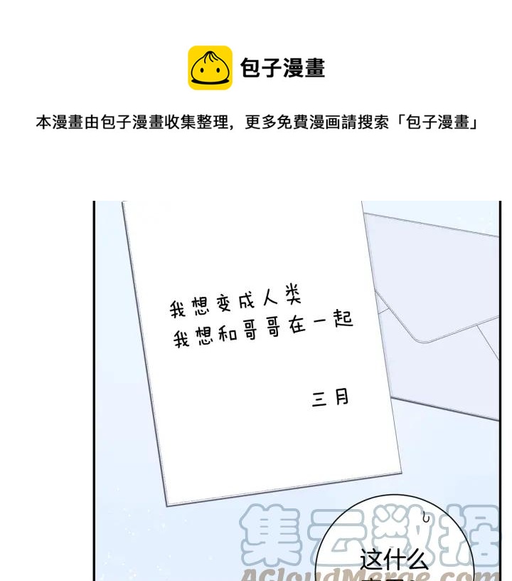 番外一 三月的愿望100
