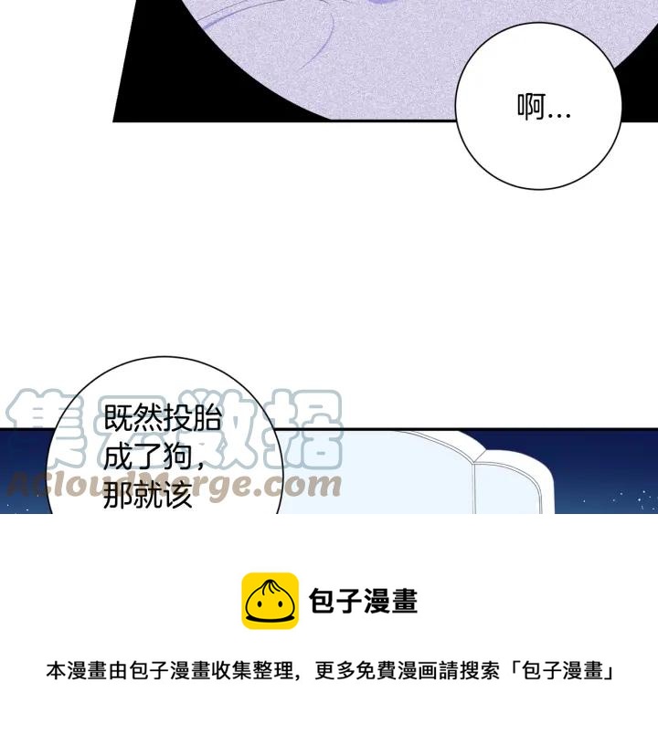 番外一 三月的愿望104
