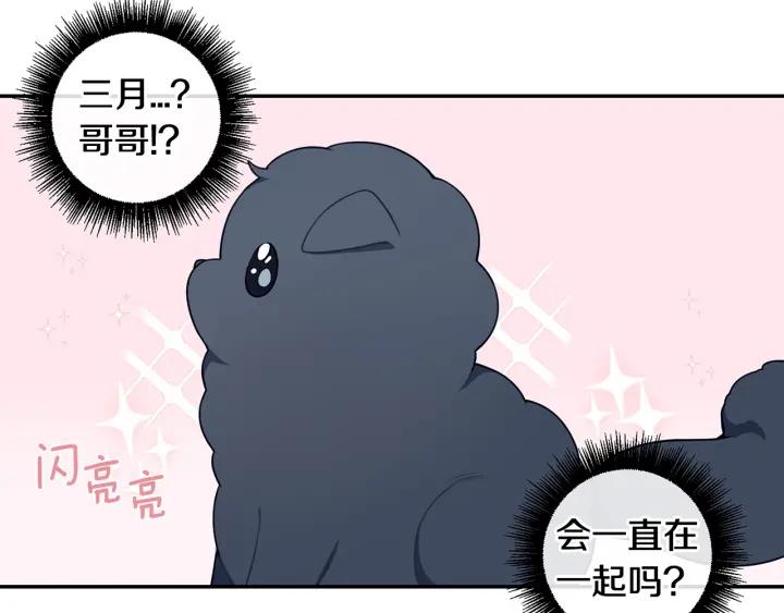番外一 三月的愿望51