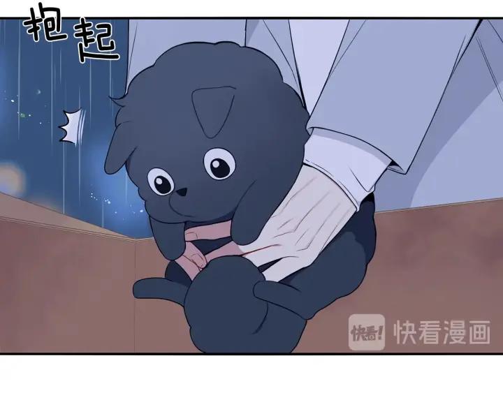 番外一 三月的愿望18