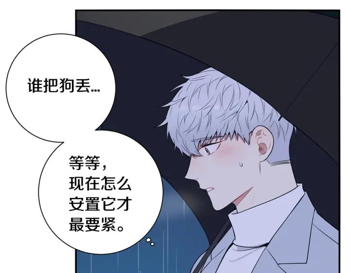 番外一 三月的愿望13