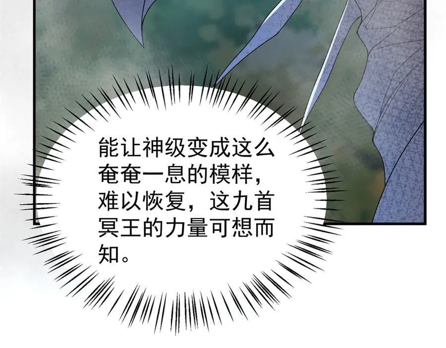 290 新的王41