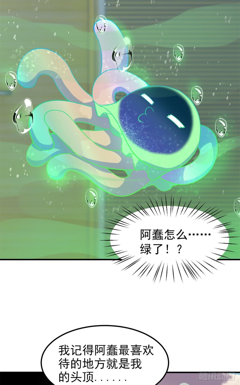 050 我的帽子进化了25