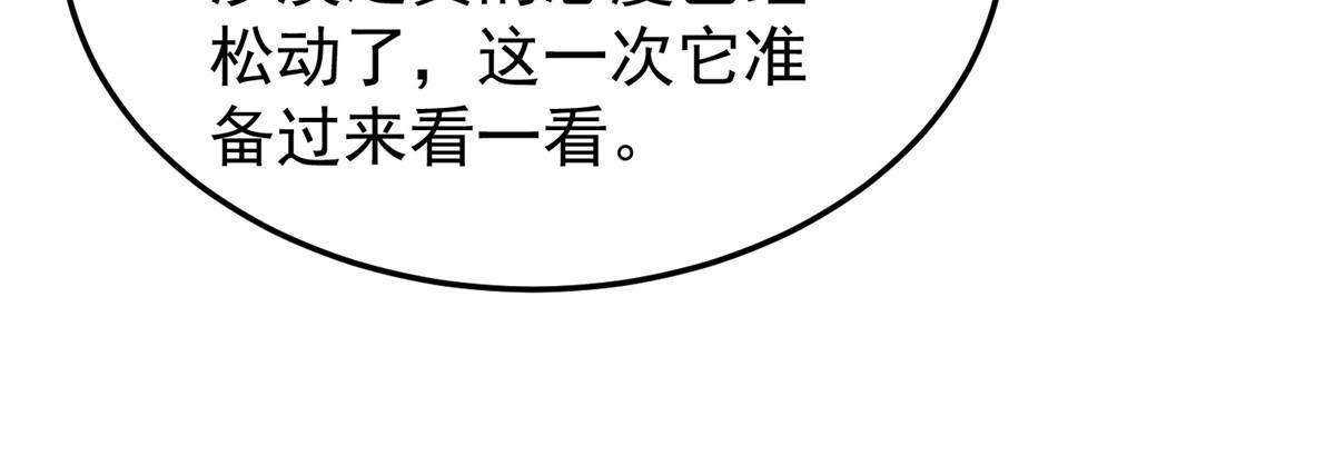 146 幻光银翼蝶31