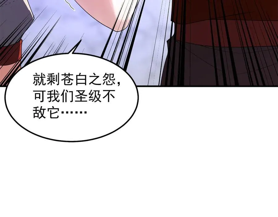 290 新的王123