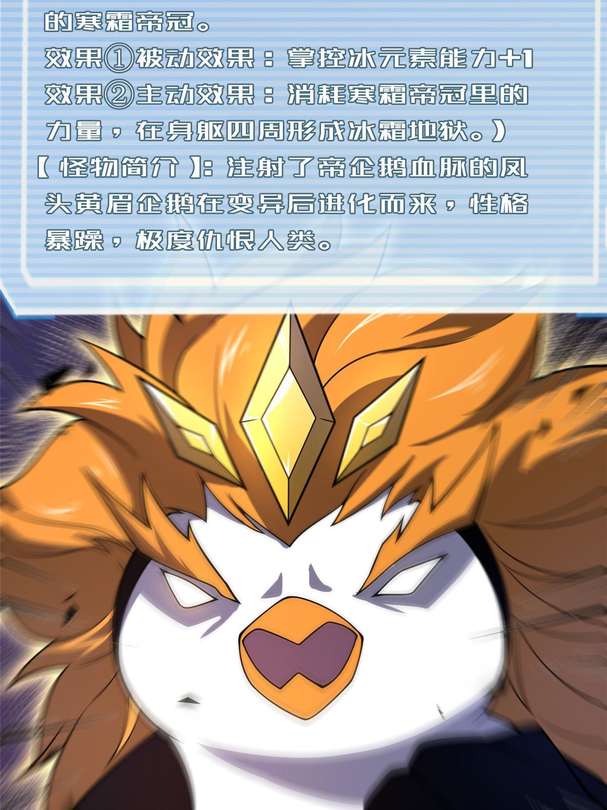 152 怪力黄眉企鹅33