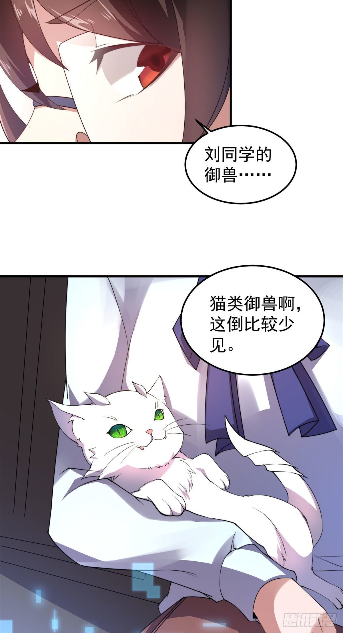 023 薄荷猫39