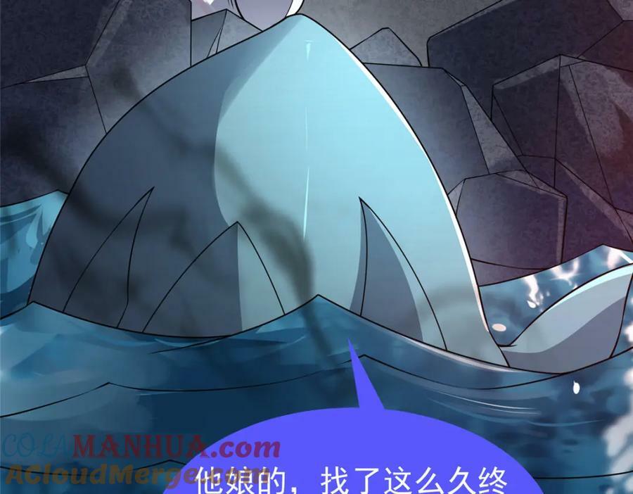 203 胖大海的宝贝64