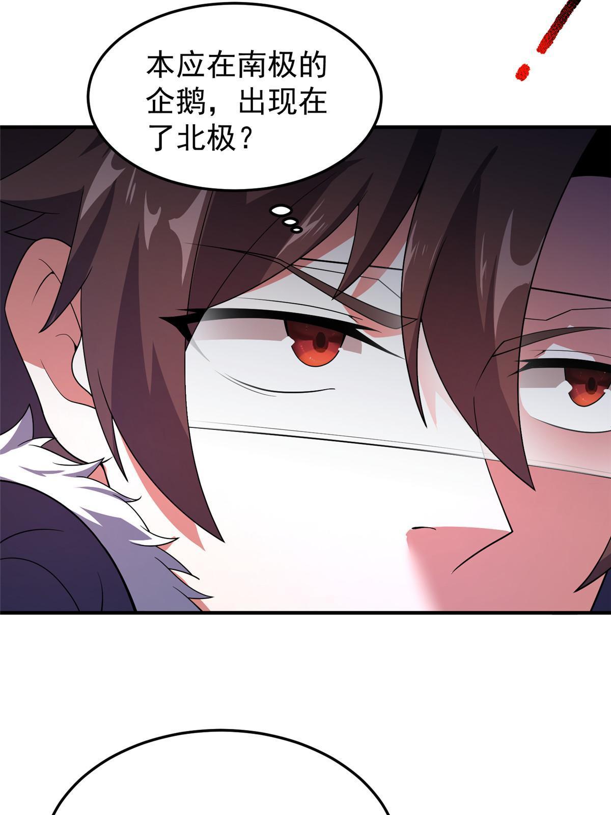 152 怪力黄眉企鹅11