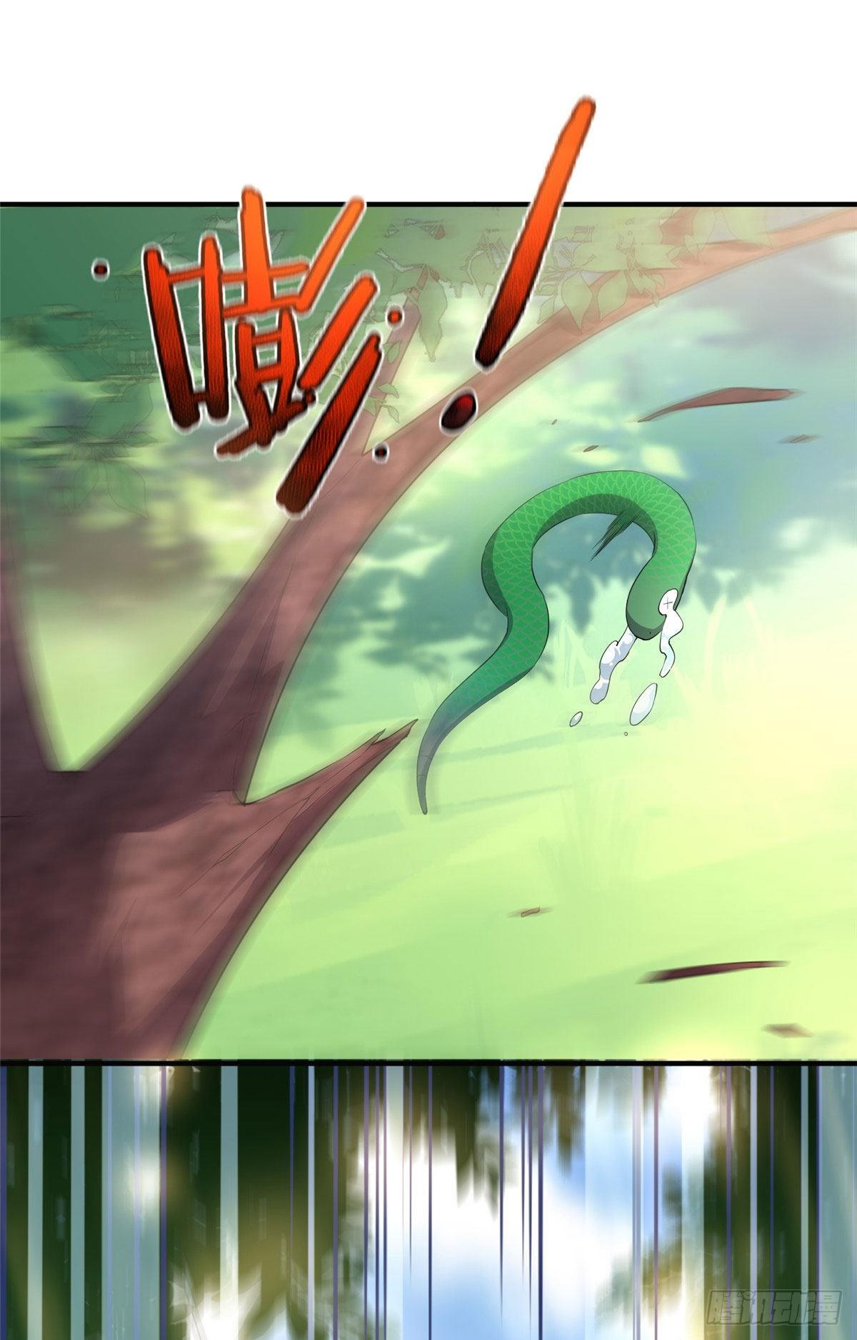 032 青皮蛙21