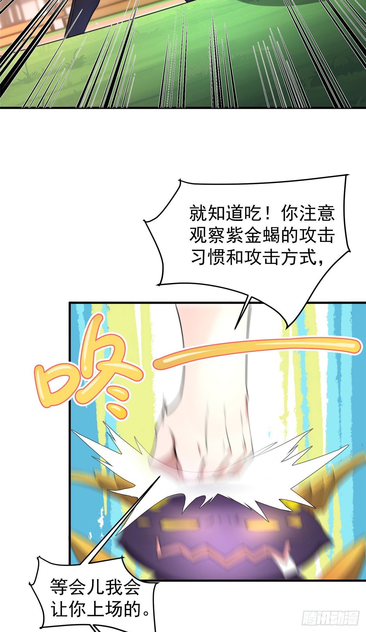 028 鸡婆龙21
