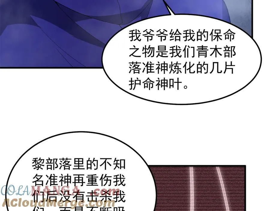 290 新的王84