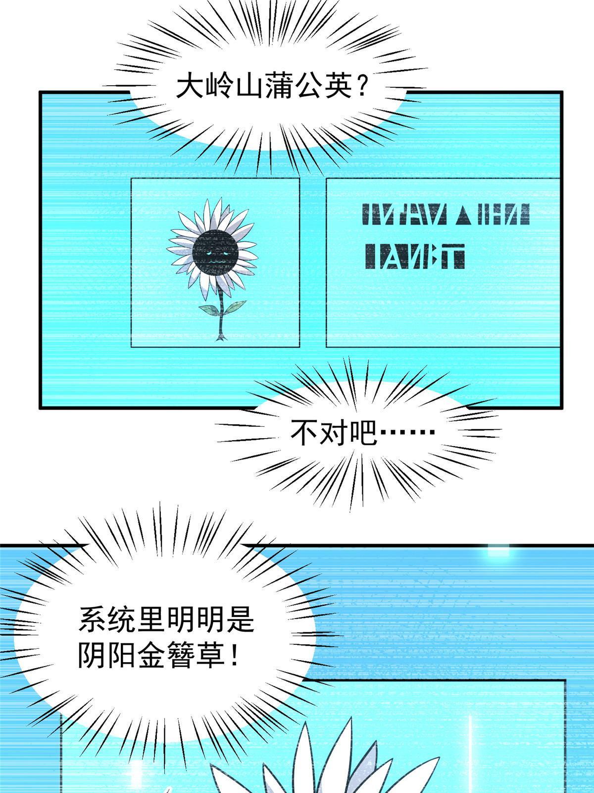 128 阴阳金簪草54