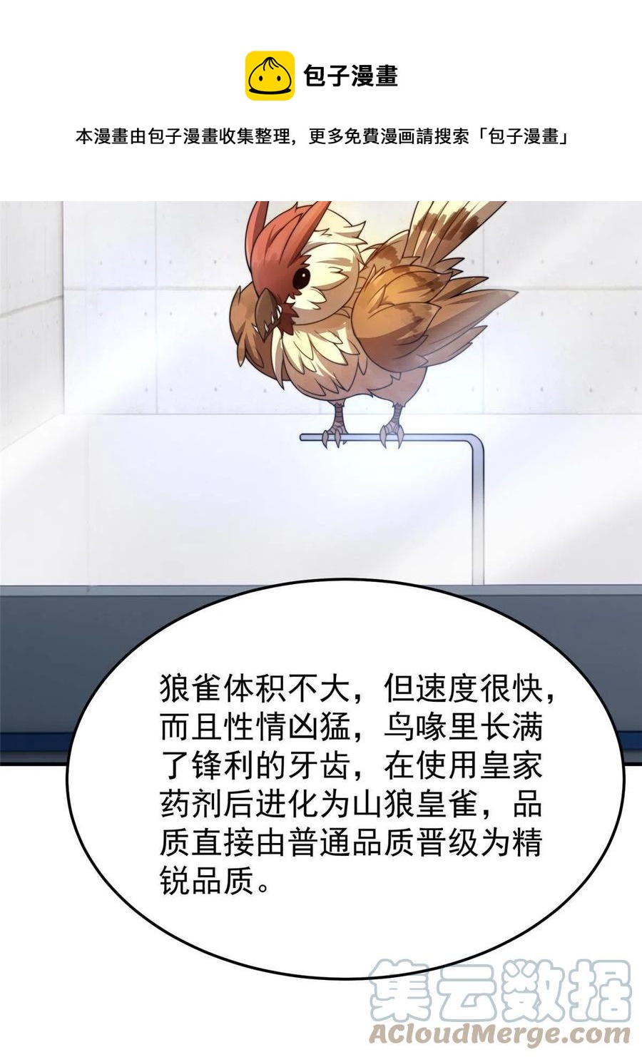 85 雷公12