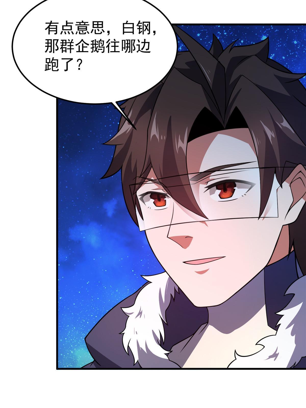 152 怪力黄眉企鹅25
